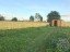 Продажа загородного дома Березовик, Береговая, 5