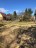 Продажа загородного дома Рощино, Лесная