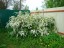 Продажа загородного дома Славянка, Славянка, к.НТ