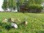 Продажа загородного дома Чехов, Якшино