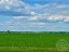 Продажа загородного дома Чеголи