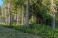 Продажа загородного дома Бриллиант, 1-я Западная, 8