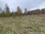 Продажа загородного дома Шамокша, Сельская