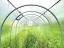 Продажа загородного дома Апраксин