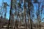 Продажа загородного дома Красногорск, Ильинское