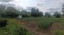 Продажа загородного дома Кашира, Макарово, Нагорная, 2