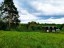 Продажа загородного дома Михалево, Болотный, 6