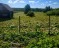 Продажа загородного дома Заручье