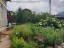 Продажа загородного дома Пери, Майна, к.П