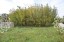 Продажа загородного дома Институтская 1-я
