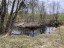 Продажа загородного дома Шамокша, Сельская