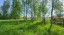 Продажа загородного дома Петергоф, Баушевская, 19