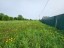 Продажа загородного дома Большие Сяглицы, 28