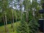 Продажа загородного дома Дмитров, Деденево, 1-я Лесная, 8 литер Б