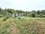 Продажа загородного дома Ступино, Сапроново, Квант-2, к.нт