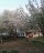 Продажа загородного дома Полобицы, 29