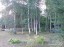 Продажа загородного дома Луга, Санаторий "Жемчужина", Мичуринское-2, к.нт