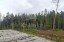 Продажа загородного дома Красногорск, Нахабино, Усадьба