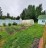 Продажа загородного дома Массив Моторное, Сосновый