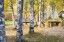 Продажа загородного дома Надевицы, Садовая