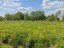 Продажа загородного дома Меткомелино