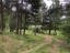 Продажа загородного дома Севастьяново, 401