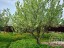 Продажа загородного дома Отрадное, 2-я