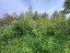 Продажа загородного дома Грузино, Куйвози-2, к.НТ