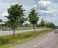 Продажа загородного дома Елизаветинка, 5