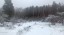Продажа загородного дома Ириновка