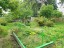 Продажа загородного дома Сестрорецк