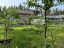 Продажа загородного дома Западная Лица, Северная жемчужина