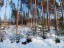 Продажа загородного дома Приветнинское
