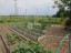 Продажа загородного дома Коломна, Пески, Зеленая, 124/1