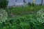 Продажа загородного дома Дмитров, Комаровка