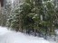 Продажа загородного дома Первомайское