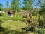 Продажа загородного дома Массив Мшинская, 6
