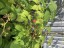 Продажа загородного дома Красногорск, Дмитровское, Дачная
