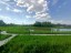 Продажа загородного дома Клин