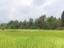 Продажа загородного дома Борки