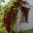 Продажа загородного дома Пески, 13-я линия