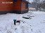Продажа загородного дома Институтская 1-я, 153