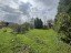 Продажа загородного дома Дмитров, Пантелеево