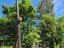 Продажа загородного дома Комсомольское