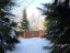 Продажа загородного дома Истра, Садки, Дачная