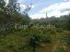 Продажа загородного дома Красногорск, Степановское, 23