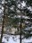 Продажа загородного дома Мины, Петровка