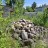 Продажа загородного дома Стеклянный, Альбатрос, к.нт
