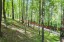 Продажа загородного дома Голицыно, Звенигородское