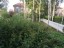 Продажа загородного дома Красногорск, Сабурово, Лесная